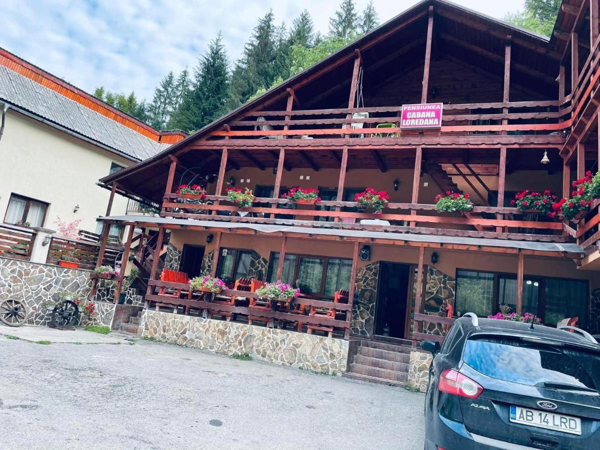 Cabana Loredana Vadu Motilor Exterior foto